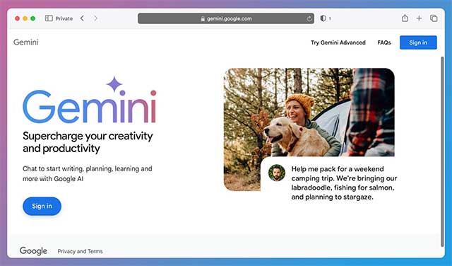 Screenshot 1 của Google Gemini